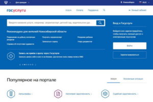 Портал госуслуг в Новосибирске – госпошлины со скидкой 30 и 50%!