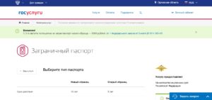Загранпаспорт